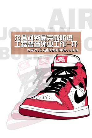 范县河务局完成防洪工程普查外业工作-开云体育高清直播(图2) 开云体育高清直播