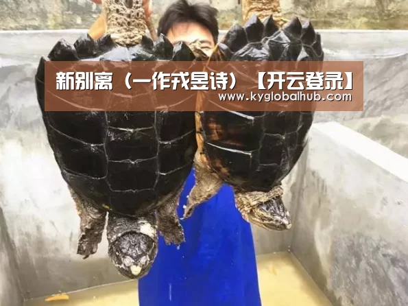 开云体育官方