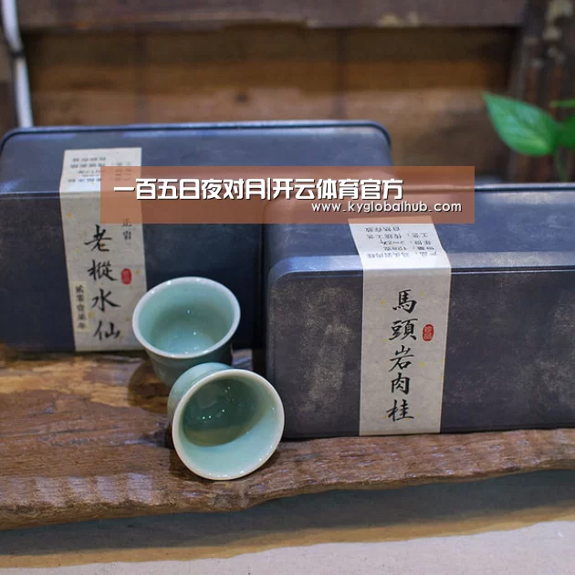 开云体育官方