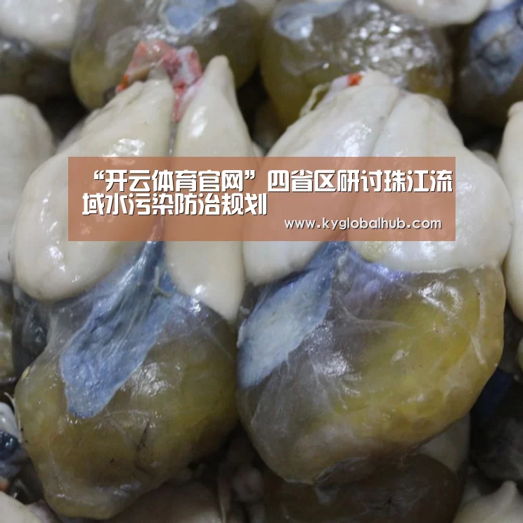 “开云体育官网”四省区研讨珠江流域水污染防治规划(图3) 开云体育官网