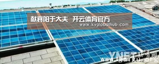献襄阳于大夫-开云体育官方(图2) 开云登录