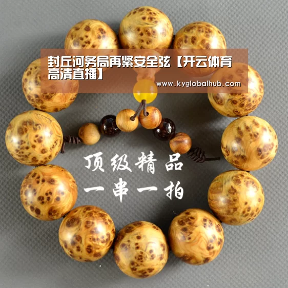 封丘河务局再紧安全弦【开云体育高清直播】(图2) 开云体育高清直播