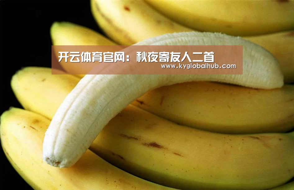 开云体育官网:秋夜寄友人二首(图4) 开云体育官网