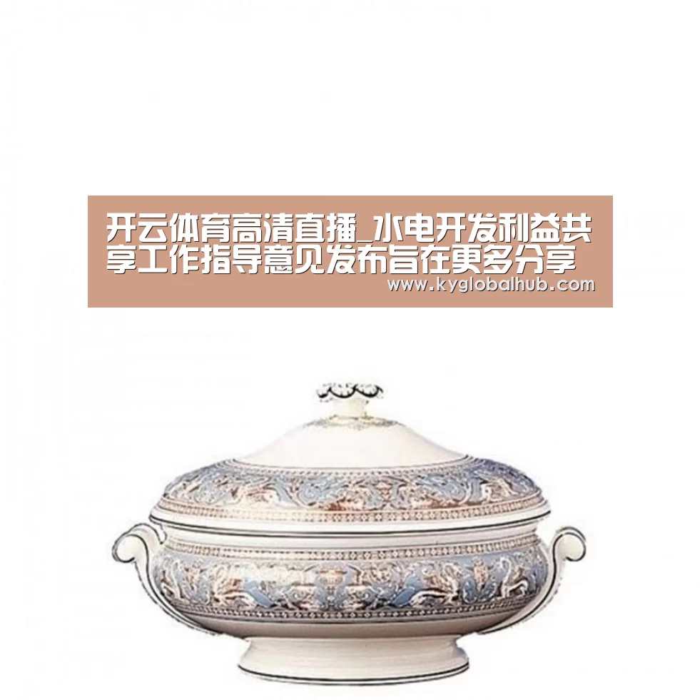 开云体育高清直播_水电开发利益共享工作指导意见发布旨在更多分享水电开发收益(图1) 开云体育官网