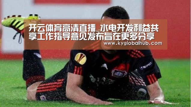 开云体育高清直播_水电开发利益共享工作指导意见发布旨在更多分享水电开发收益(图3) 开云登录