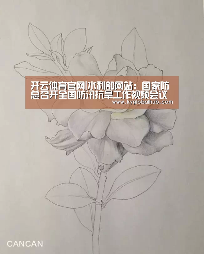 开云登录